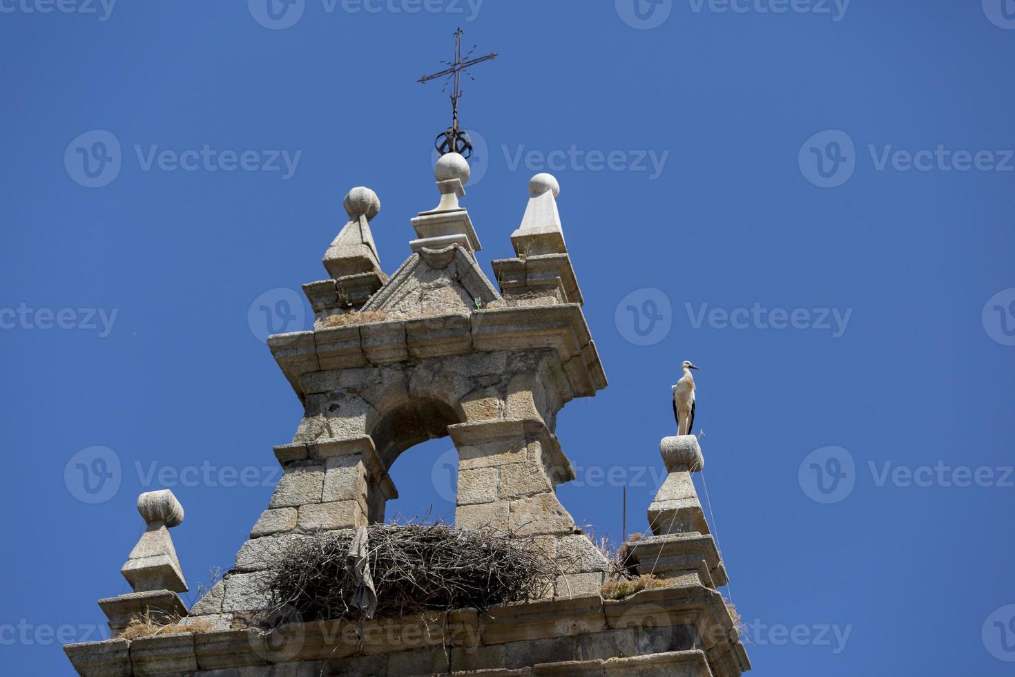 Stork on top of the bell tower of the church of Cacabelos, province of Leon, Castilla y Leon, Spain photo