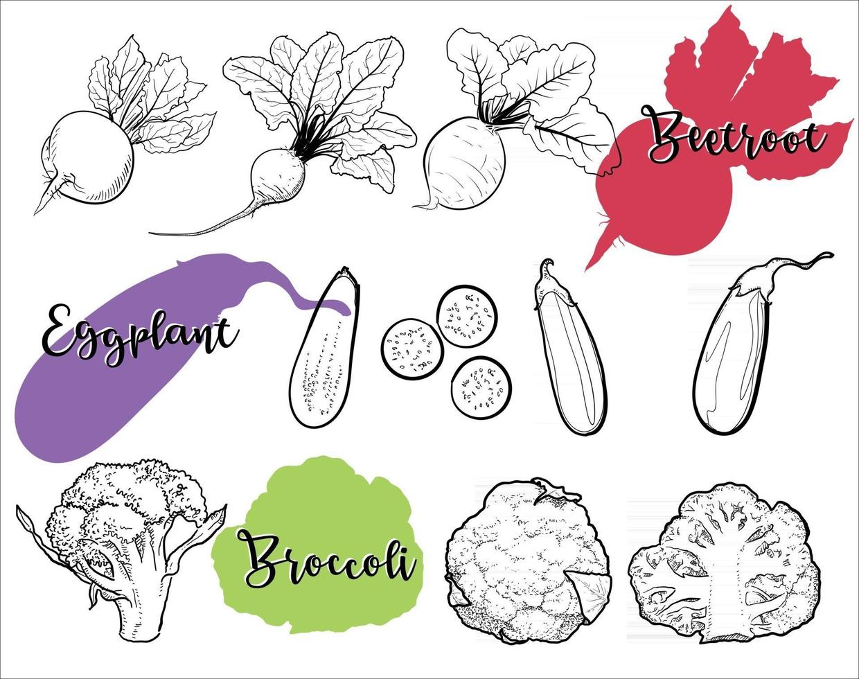 Line drawings of organic vegetables are healthy food. vector