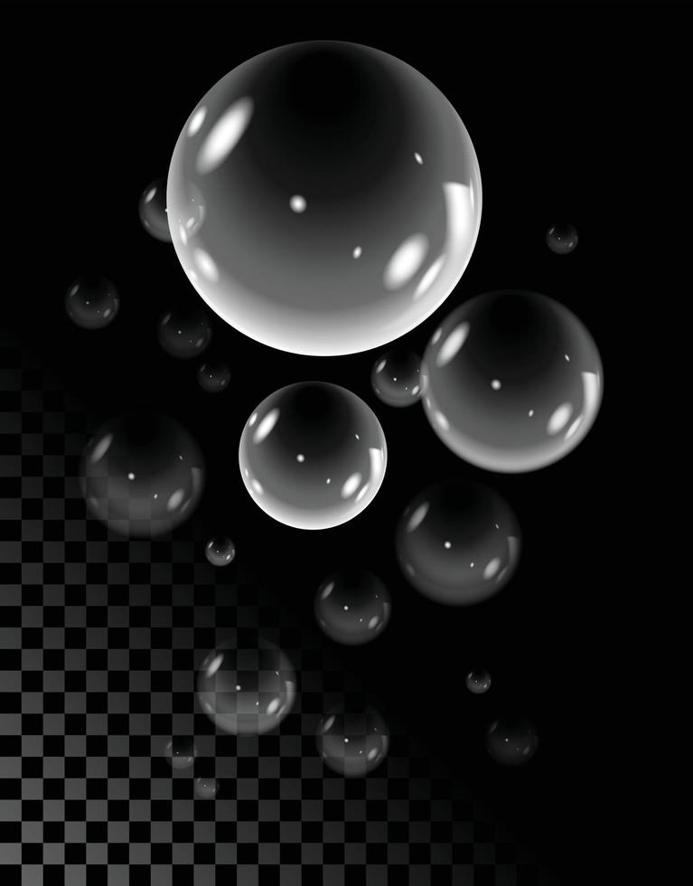 realistic soap bubbles isolated vector