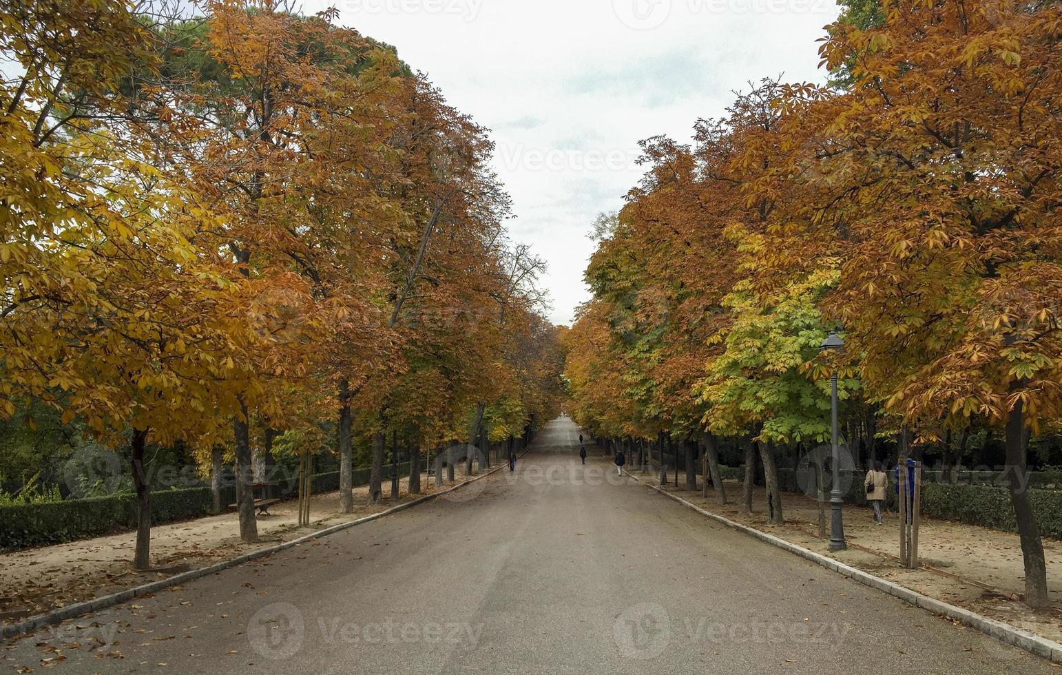 Otoño en el parque del retiro de Madrid, España foto