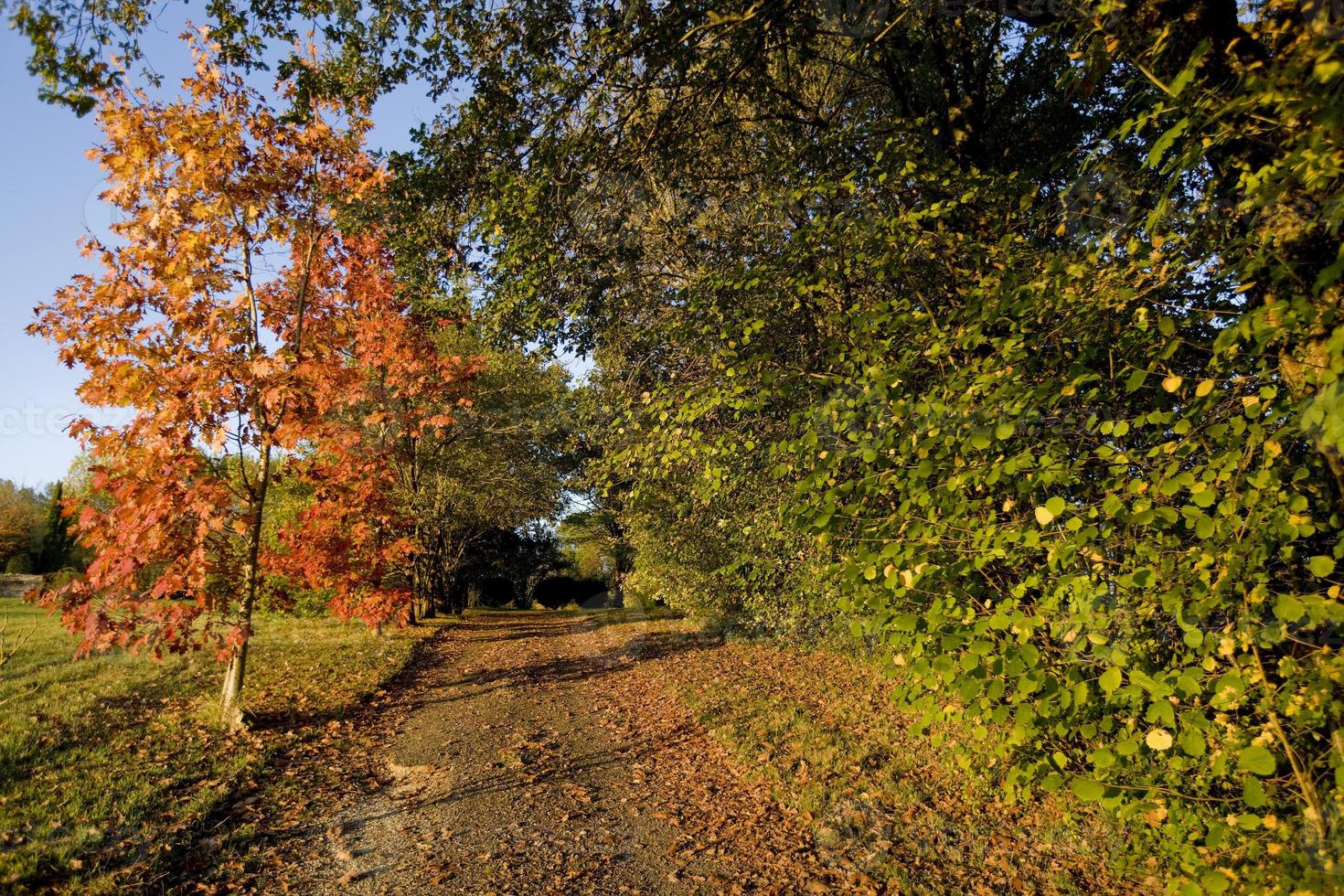 otoño en el lote, francia foto