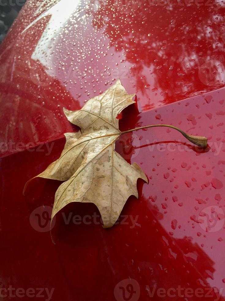 hoja de otoño en la carrocería de un coche rojo foto