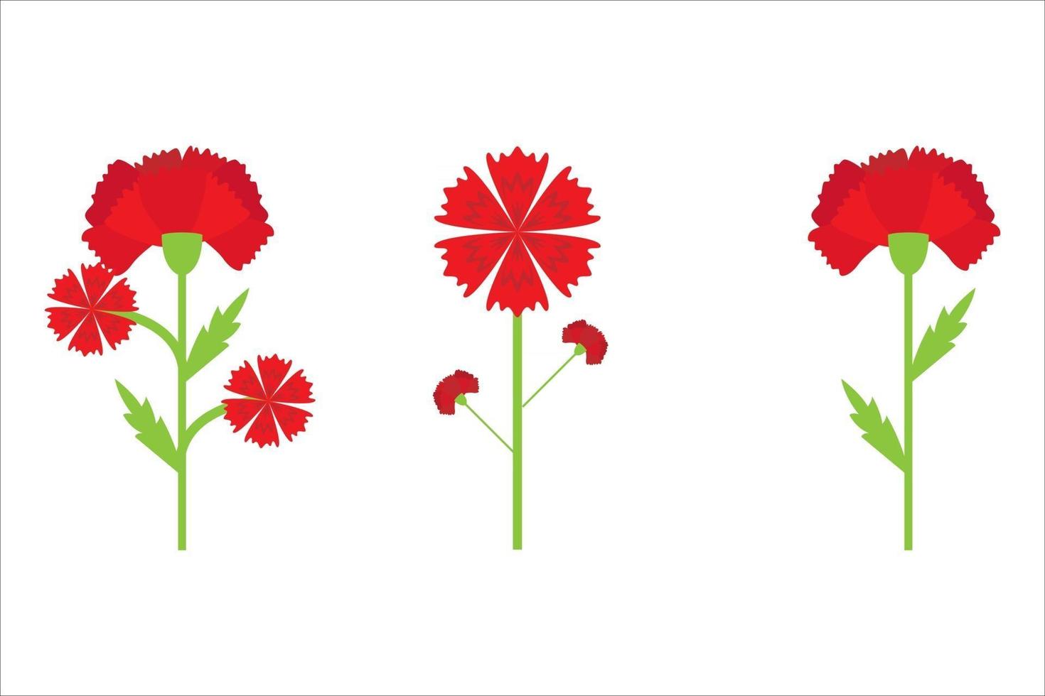 carnation flower vector eps 10