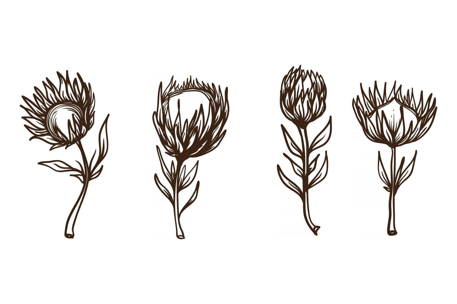 vintage flower vector set