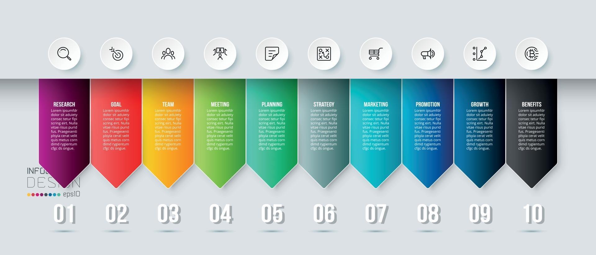 Business infographic  template with step or option design. vector