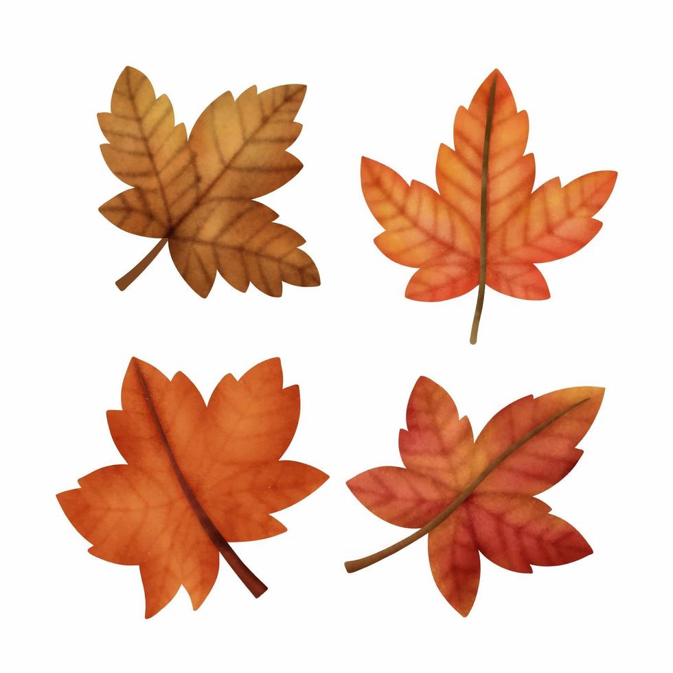 Watercolor Autumn maple leaves vector