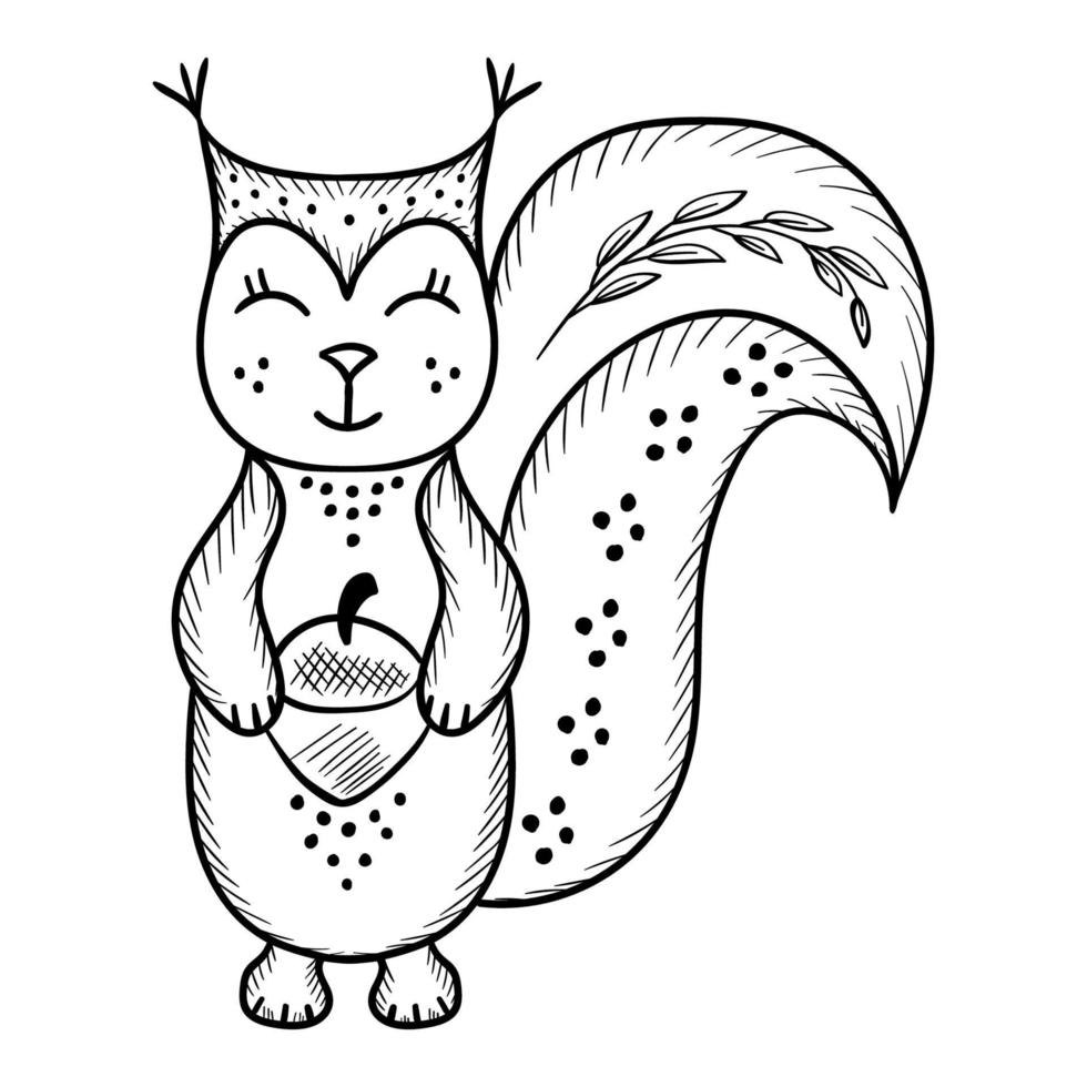 squirrel scandinavian style vector