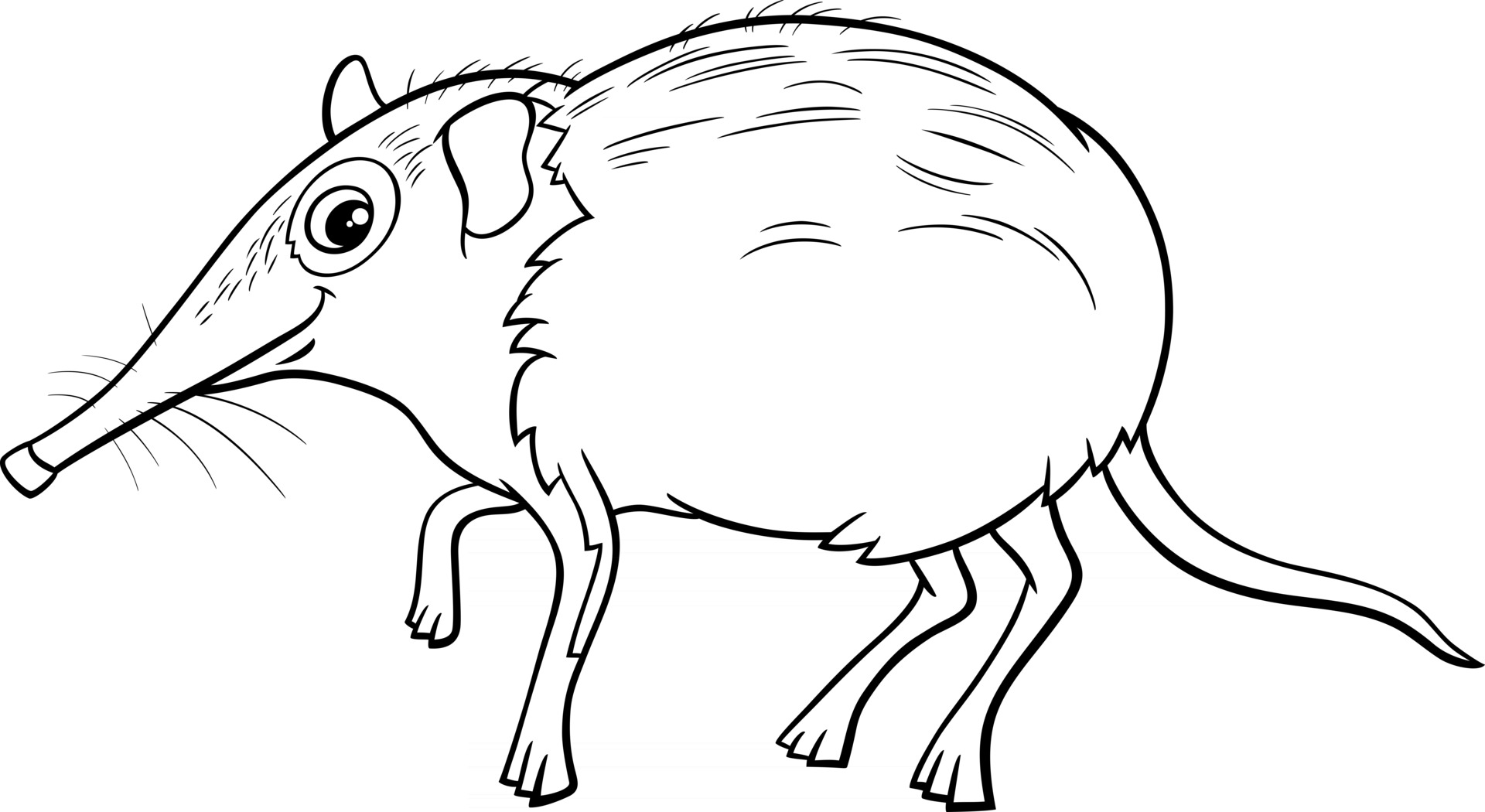 Download cartoon elephant shrew animal character coloring book page 2969513 Vector Art at Vecteezy