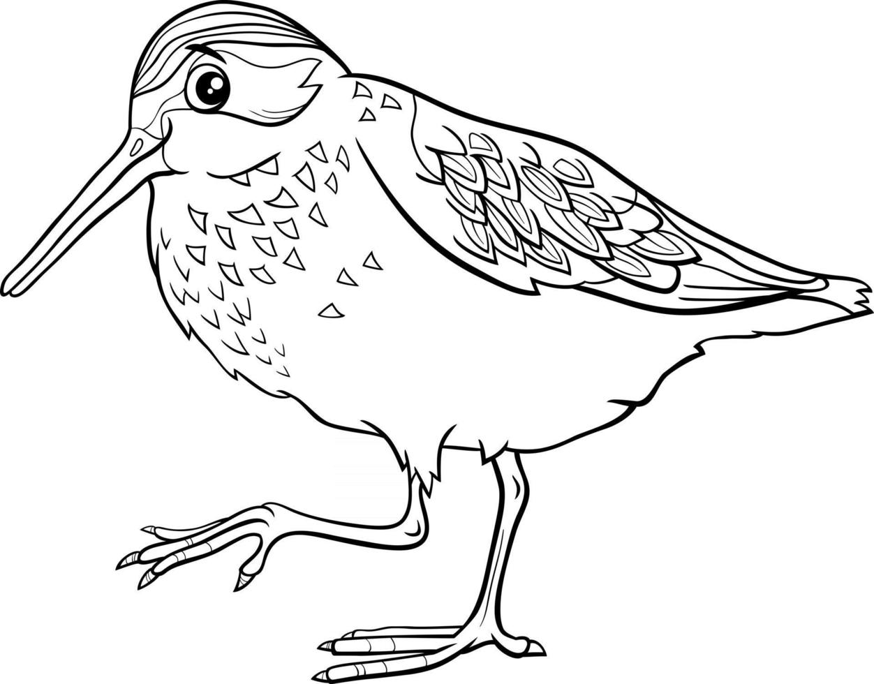 cartoon western sandpiper bird character coloring book page vector