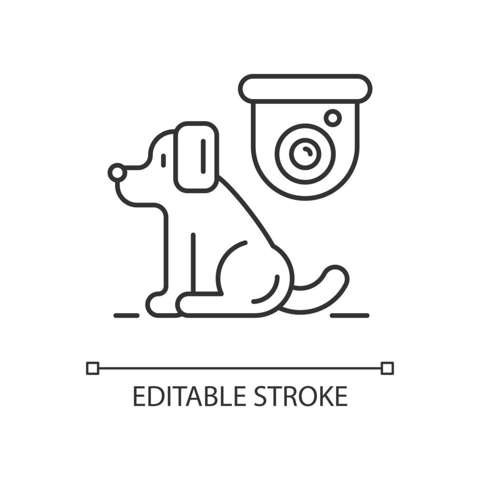 Pet control camera linear icon vector