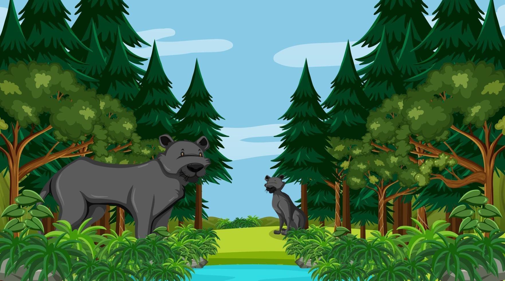Black panther in forest scene with many trees vector