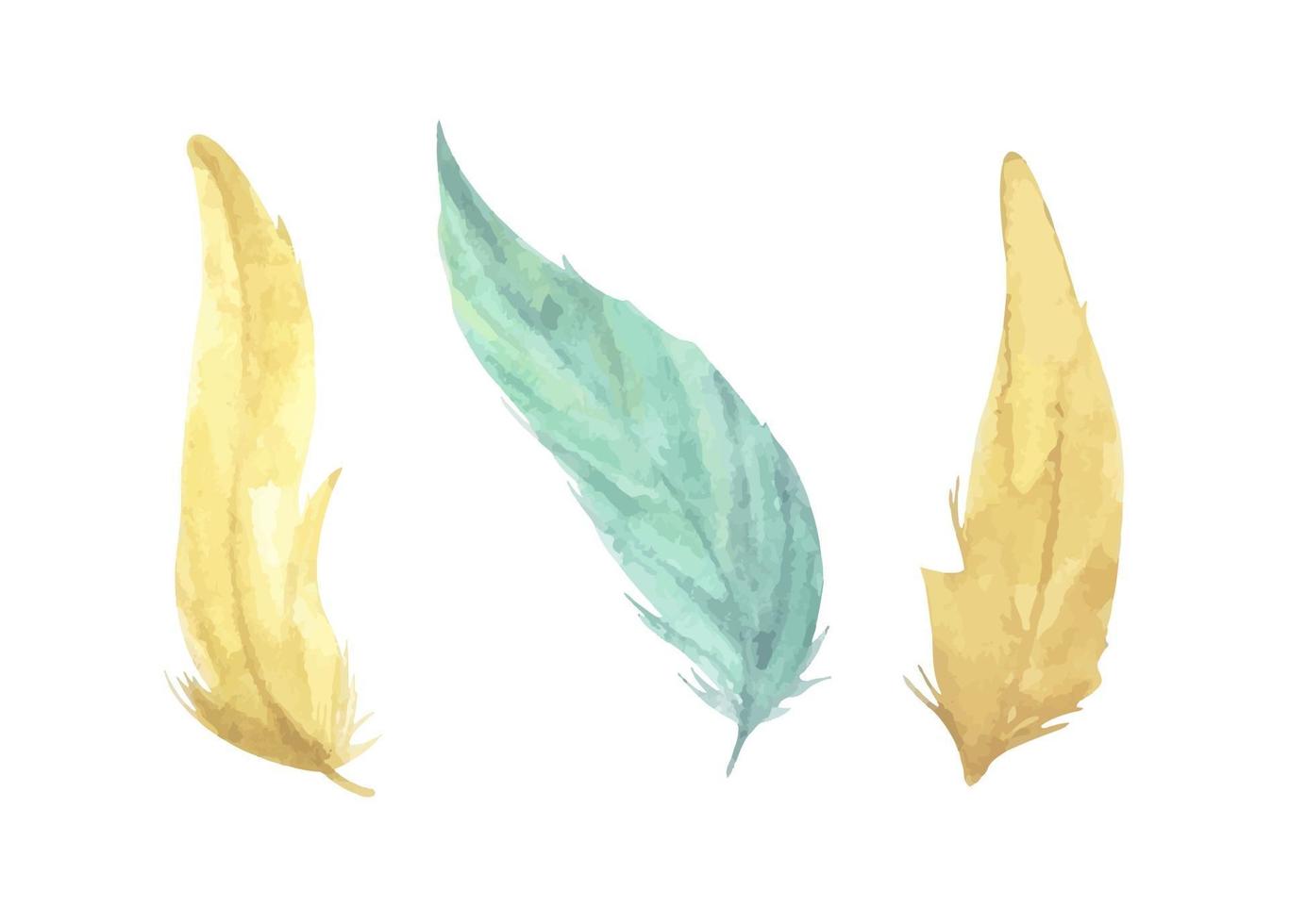 Bird feather. Boho style wings. Watercolor illustration. vector