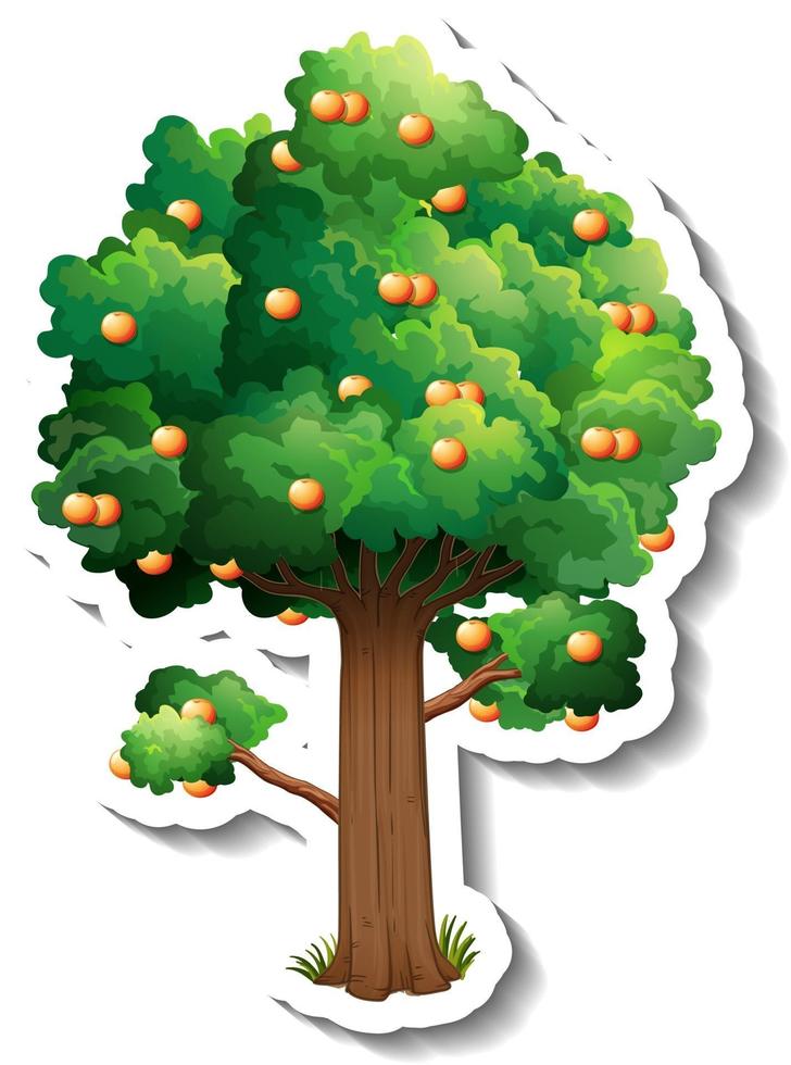 Orange tree sticker on white background vector