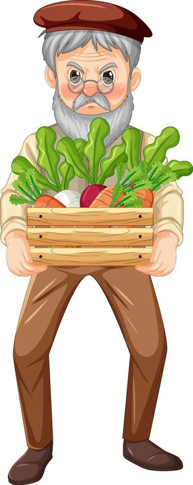 Old farmer man holding wooden crate of vegetable isolated vector