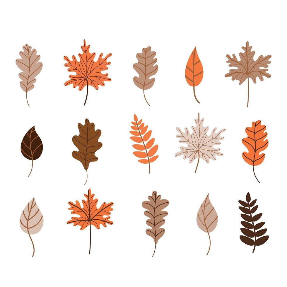 Autumn fallen leaves set. Vector illustration