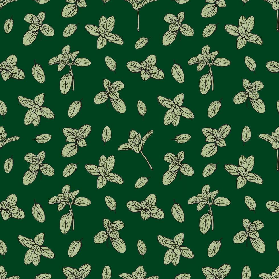 basil seamless  pattern vector
