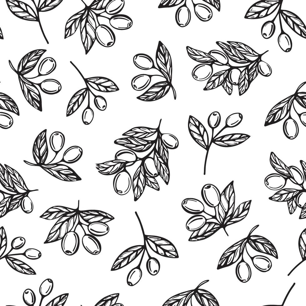 Olive oil seamless pattern. Olive branch pattern. vector