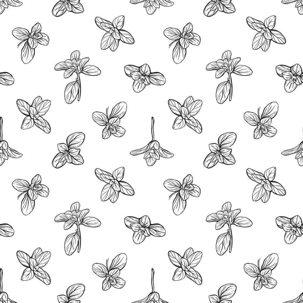 basil leaves  seamless  pattern vector