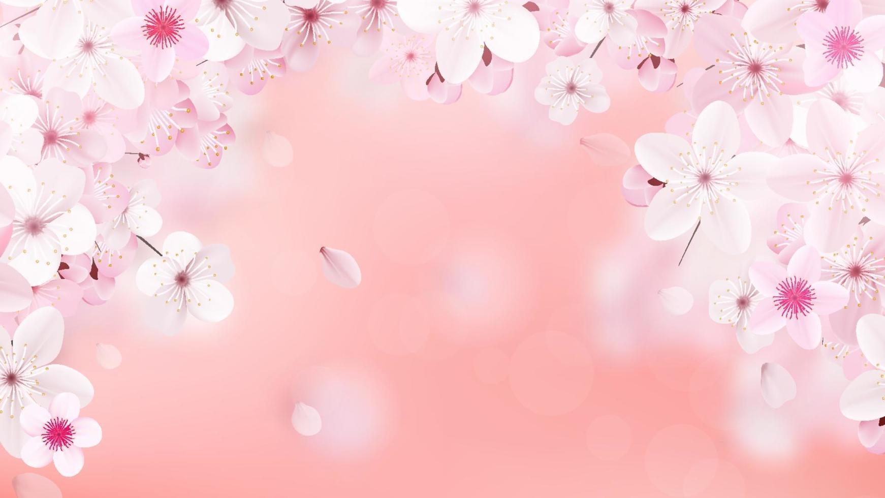 Blossoming light pink sakura flowers Realistic cherry flowers vector