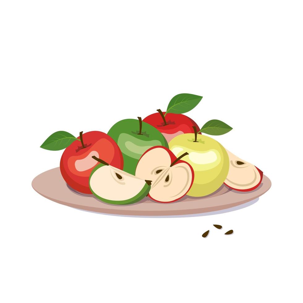apples on a plate. Whole fruit with leaf, halves and slice with seeds vector