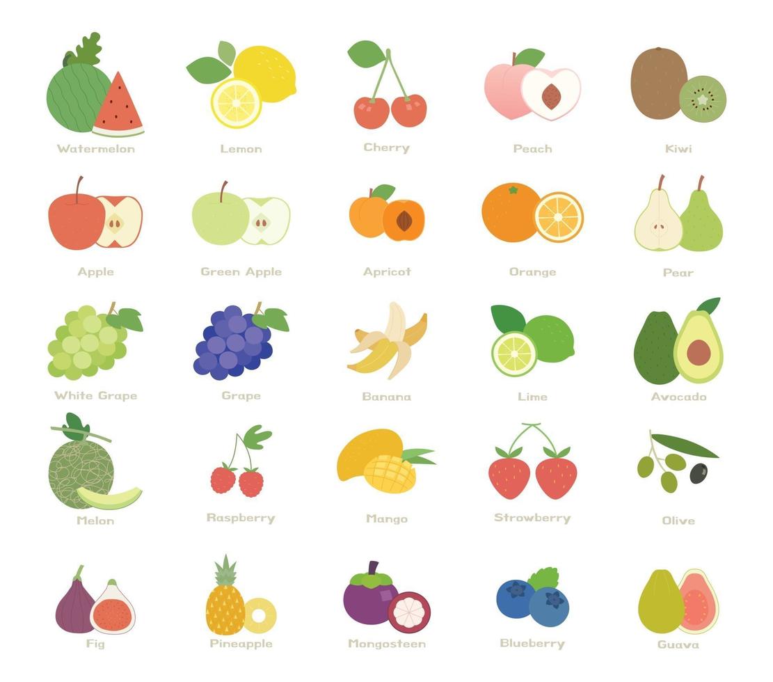 muchos tipos de frutas. fruta entera y rodajas. vector