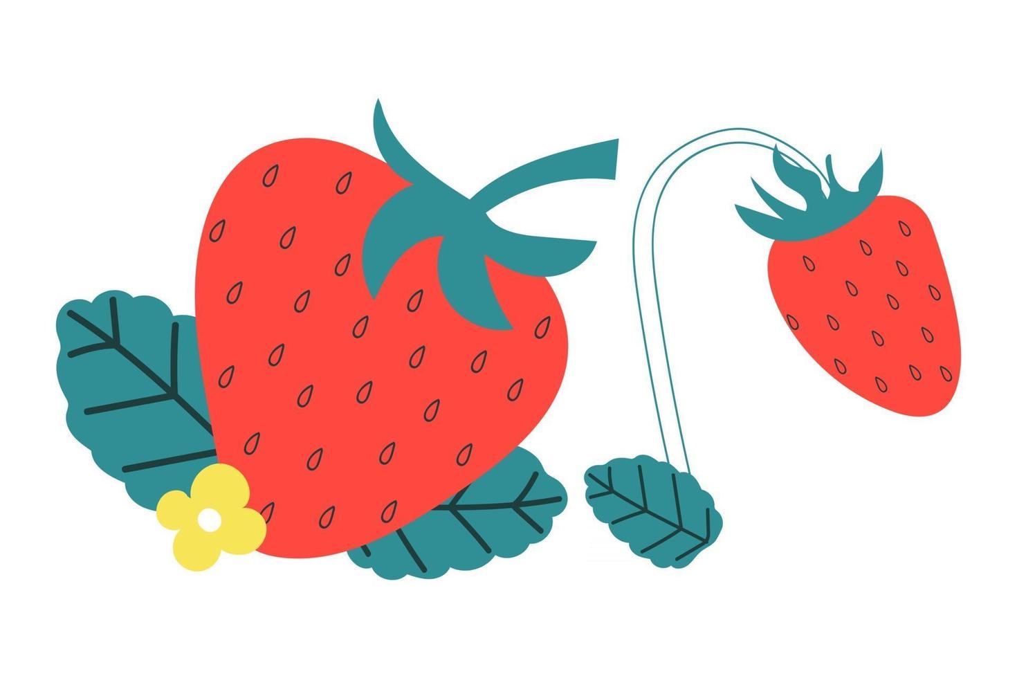 Strawberry with leaves. Summer concept. vector