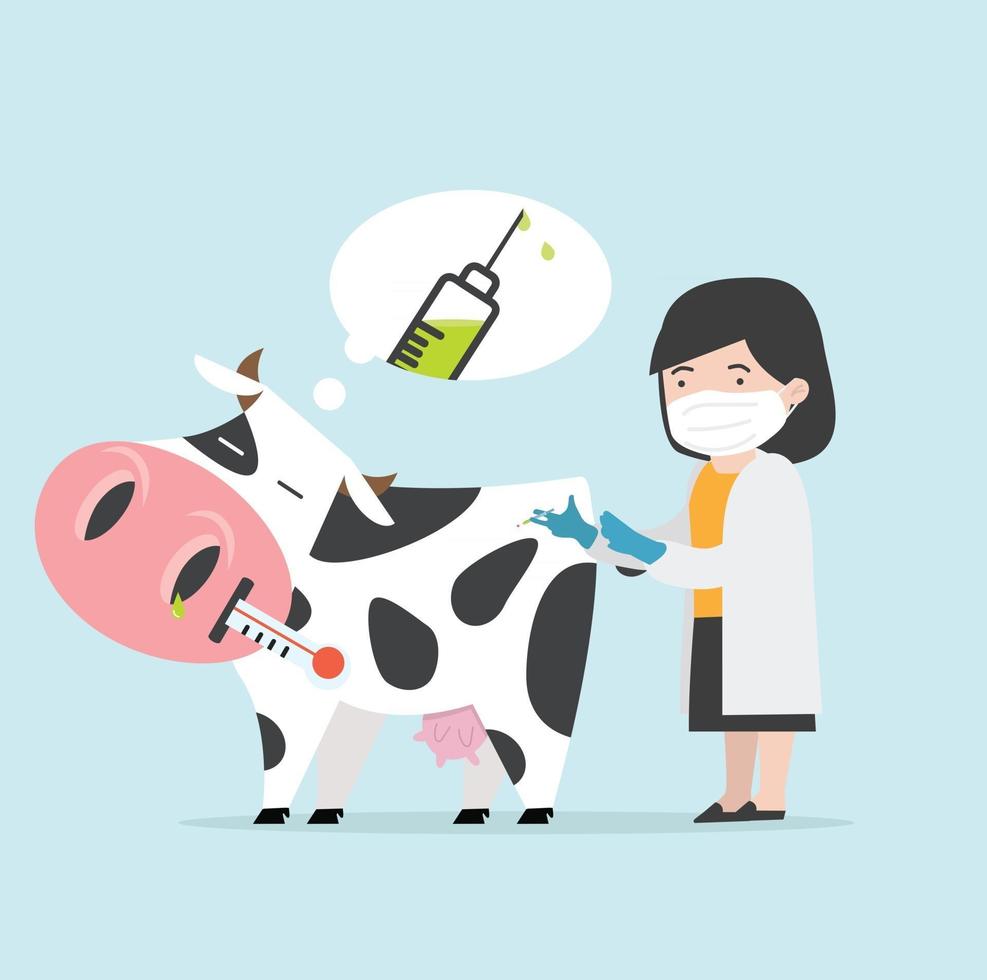 Sick cow Swine Flu with the doctor a vaccination  vector