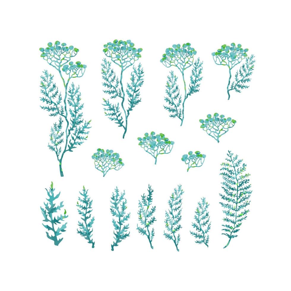 vector, colorido, ilustración, conjunto, de, hierbas, plantas y flores vector