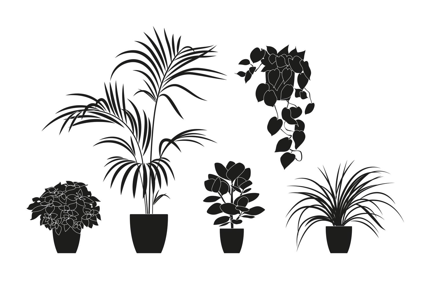 Collection silhouettes of houseplants in black color. vector