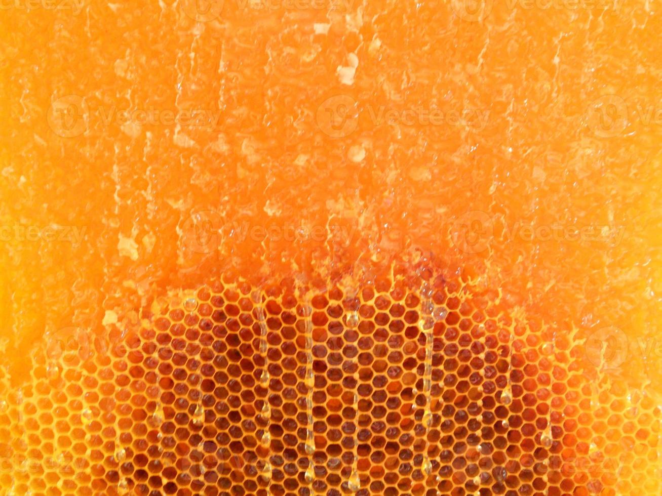 Background hexagon texture, wax honeycomb from a bee hive photo