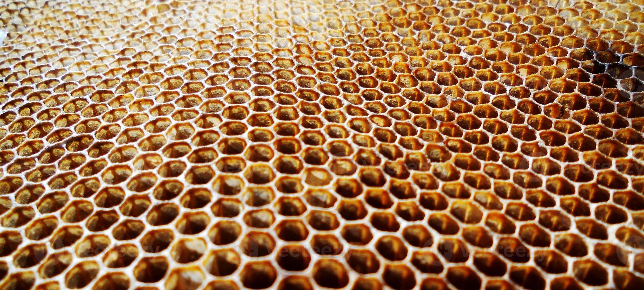 Background hexagon texture, wax honeycomb from a bee hive photo