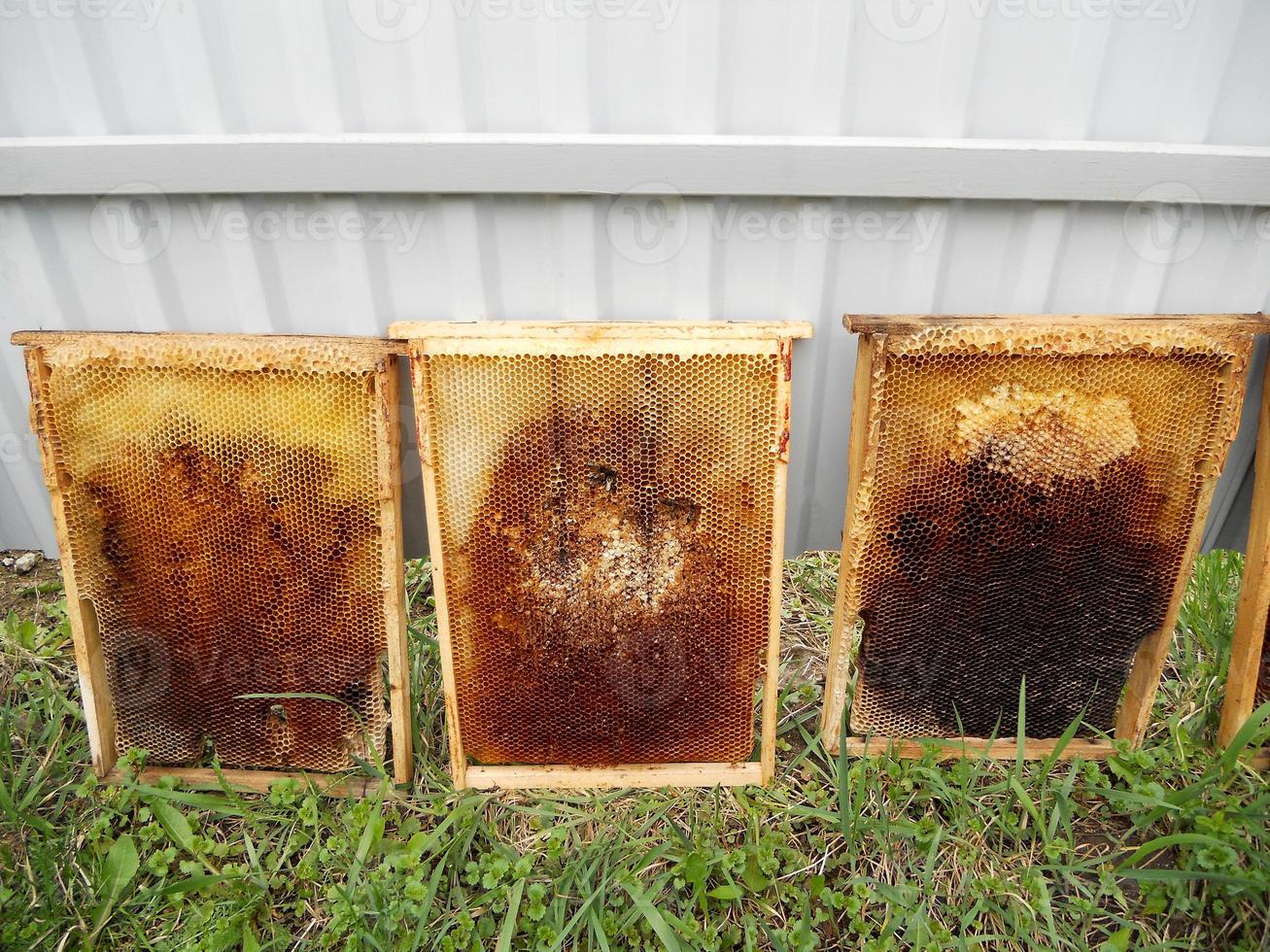 Fondo de textura hexagonal, panal de cera de una colmena de abejas foto