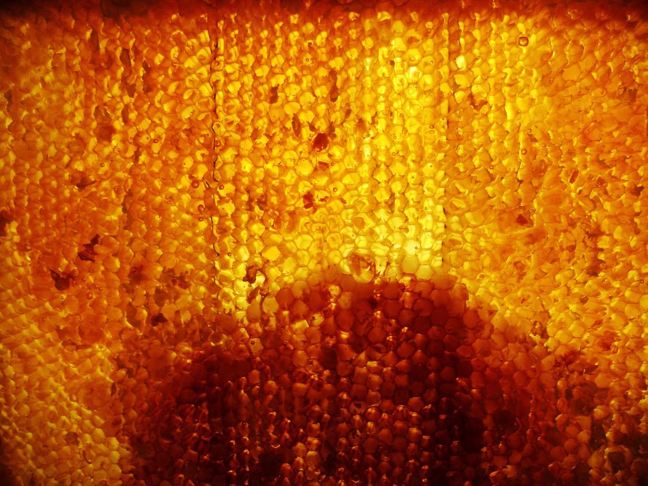 Fondo de textura hexagonal, panal de cera de una colmena de abejas foto