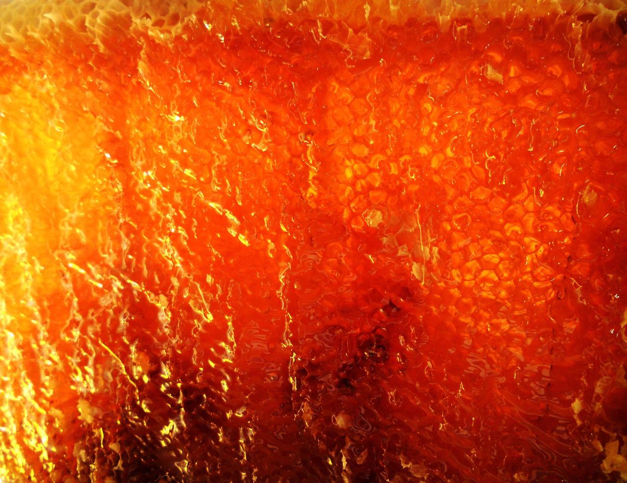 Background hexagon texture, wax honeycomb from a bee hive photo