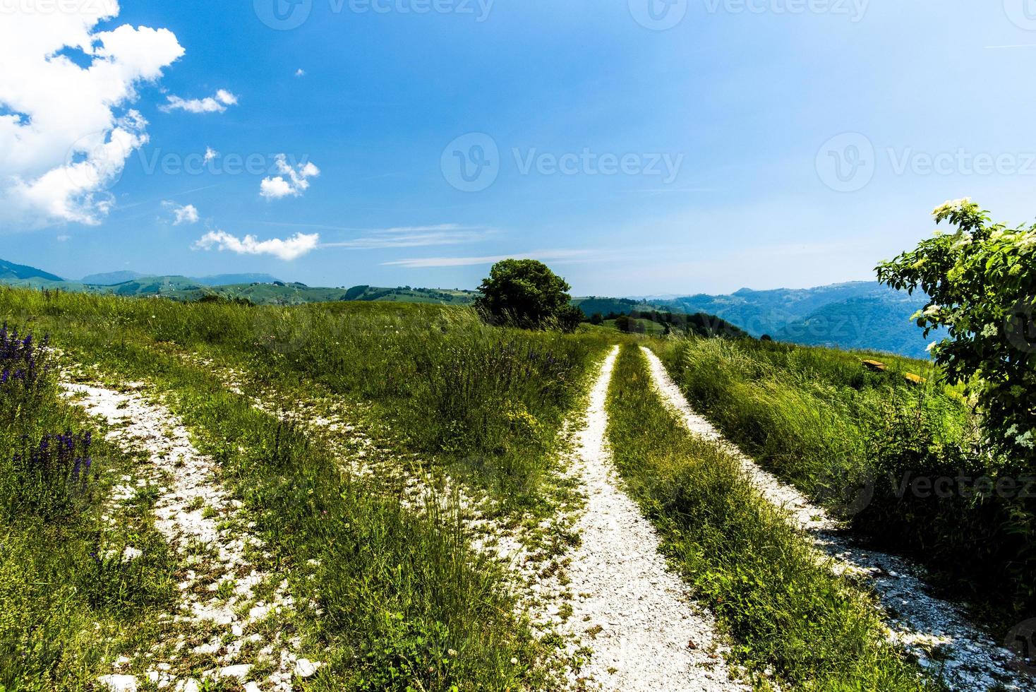 Paths on a green hill photo