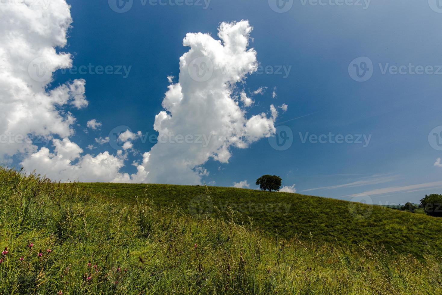 Blue sky and green hill photo