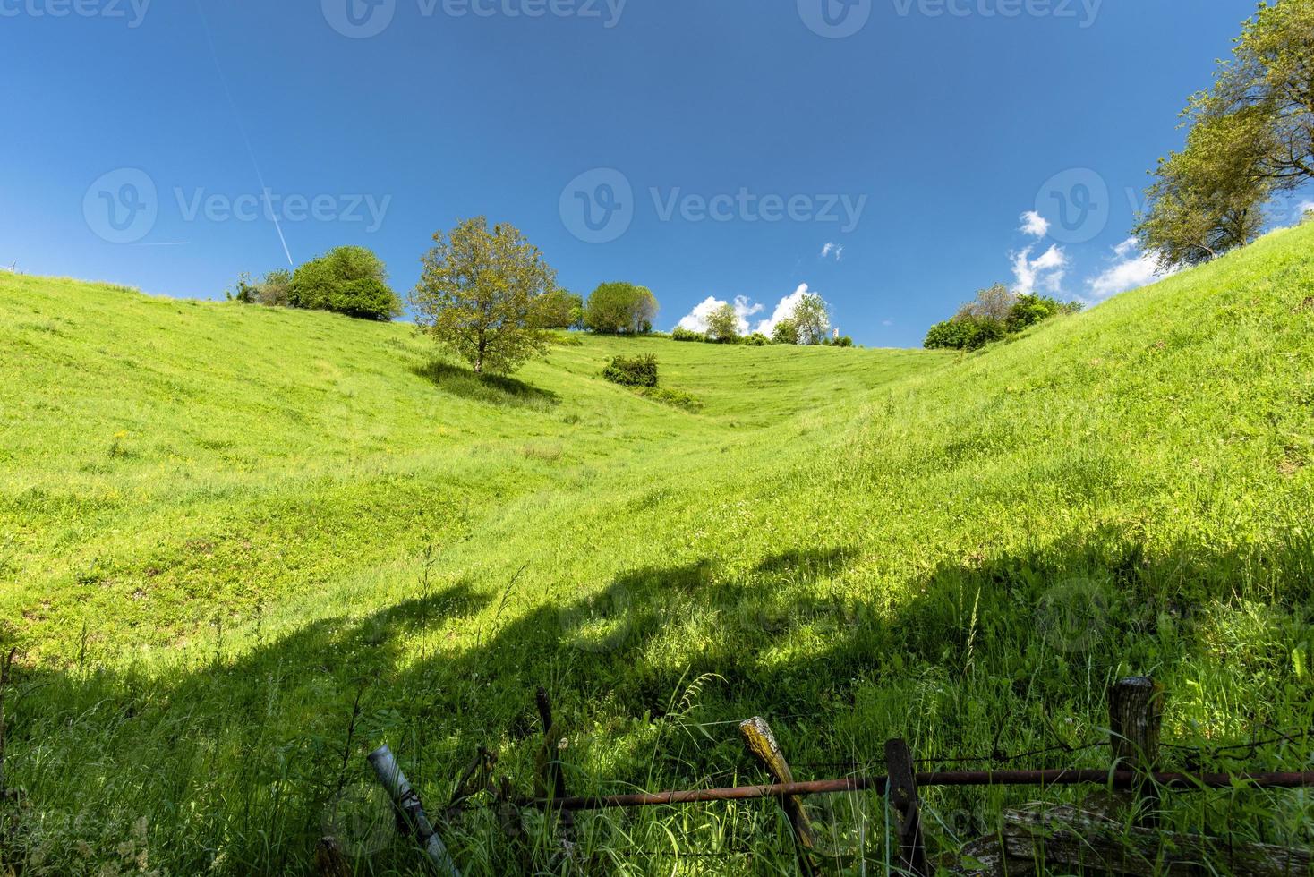 Lush green field photo