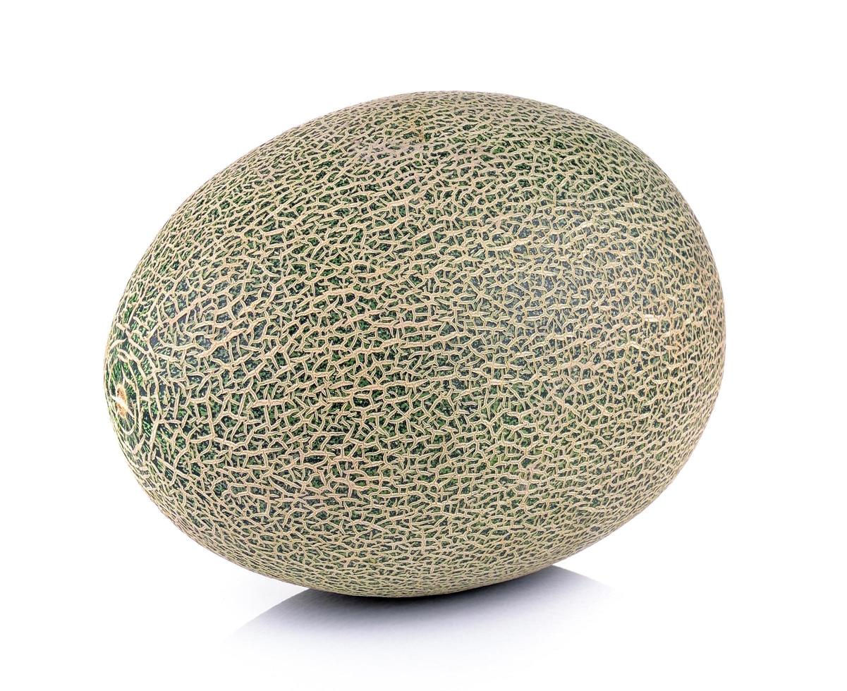 Melon on white background photo