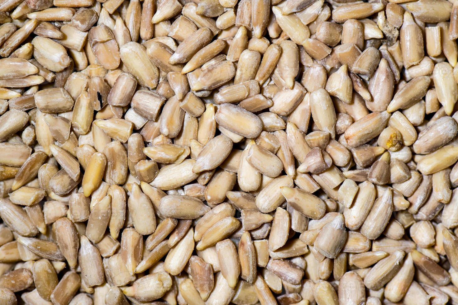 Detail of some sunflower seeds photo