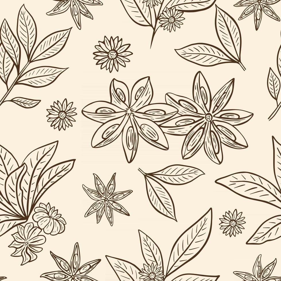 Star anise seamless vintage pattern vector illustration