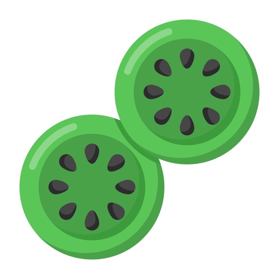 Kiwifruit and Gooseberry vector