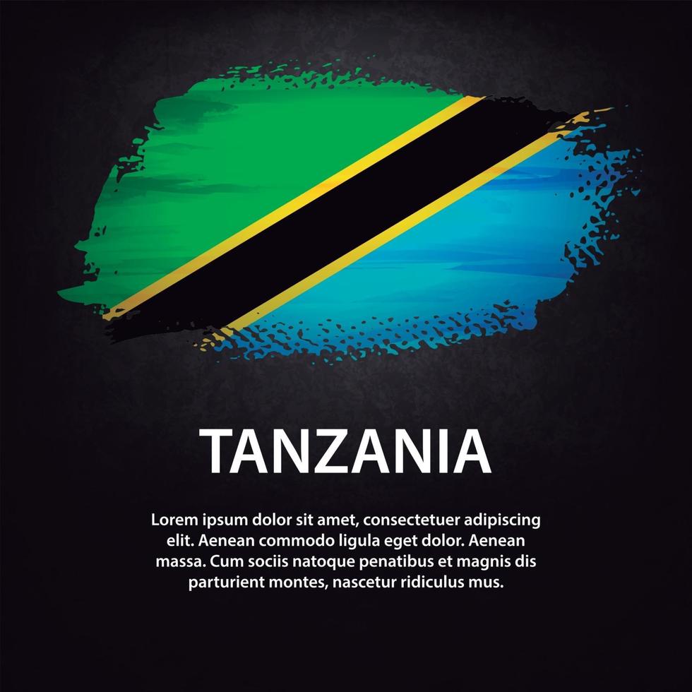 Tanzania flag brush vector