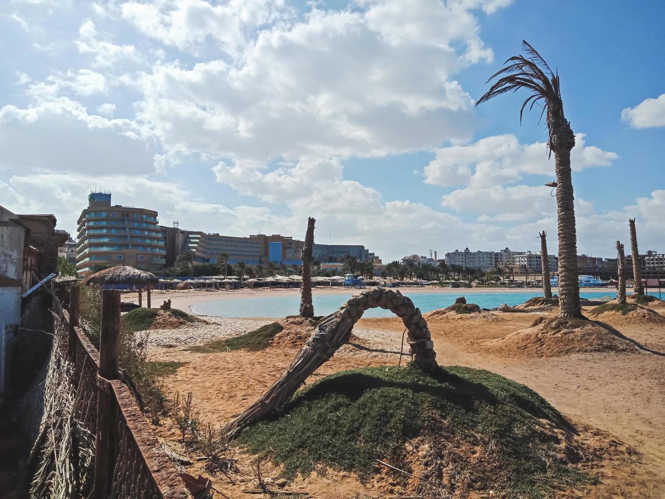 Viejas palmeras en la playa de la ciudad de Hurghada, Egipto foto