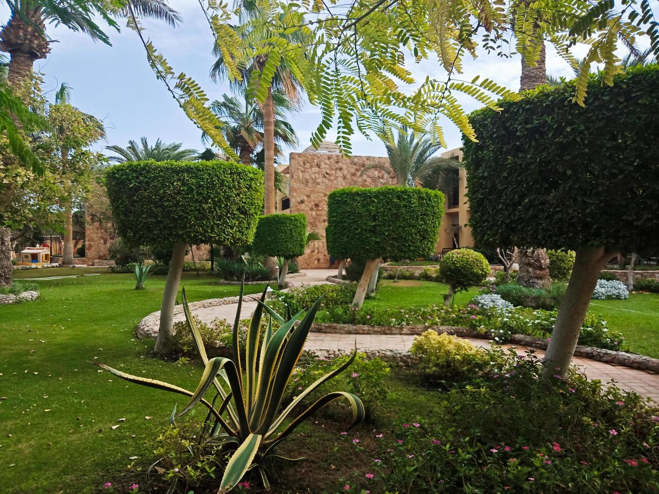 Hermoso jardín verde con palmeras y arbustos rizados en la ciudad de Hurghada, Egipto foto