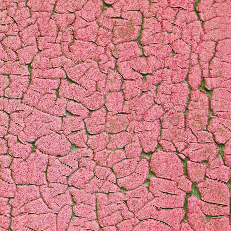 Old pink painted grunge texture photo