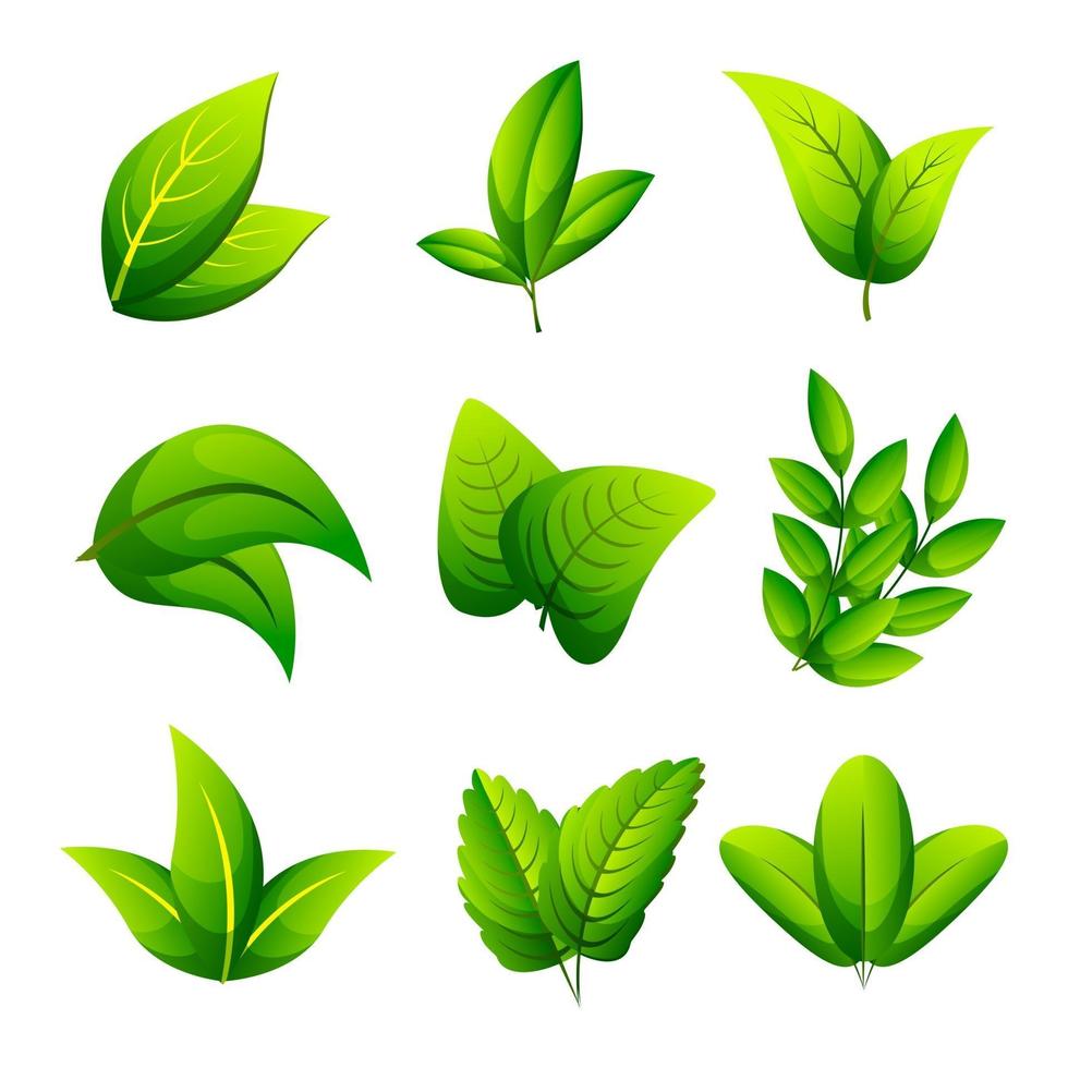 Leaves Icon Collection vector