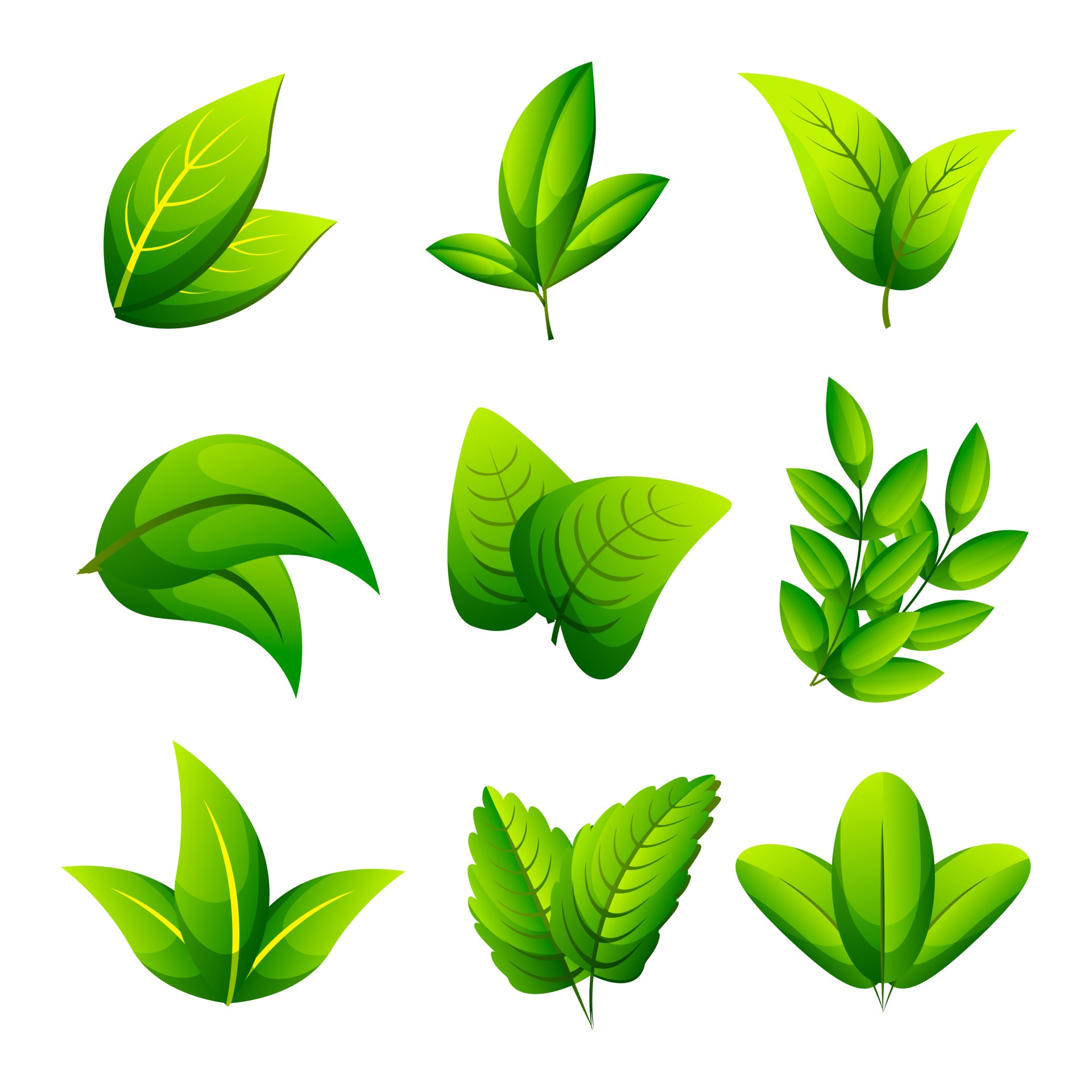 Leaves icon