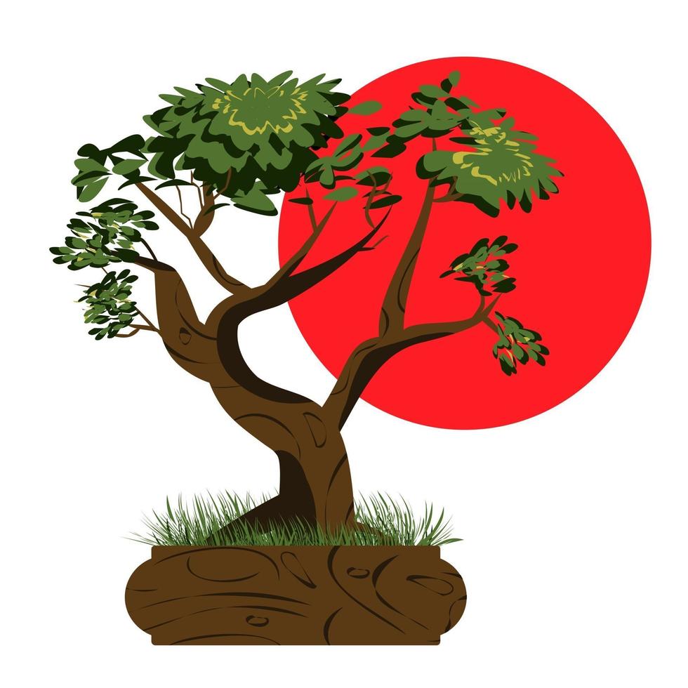 Bonsai tree. Japanese bonsai tree in the pot and with grass around. Plant icons isolated on white background. Asian plant with the sun in the background.  Vector