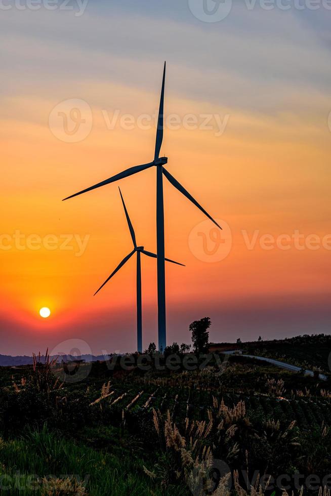 Wind turbine farm over sunset photo