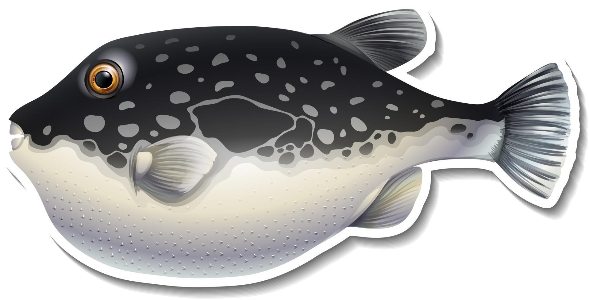 Puffer fish cartoon sticker on white background vector